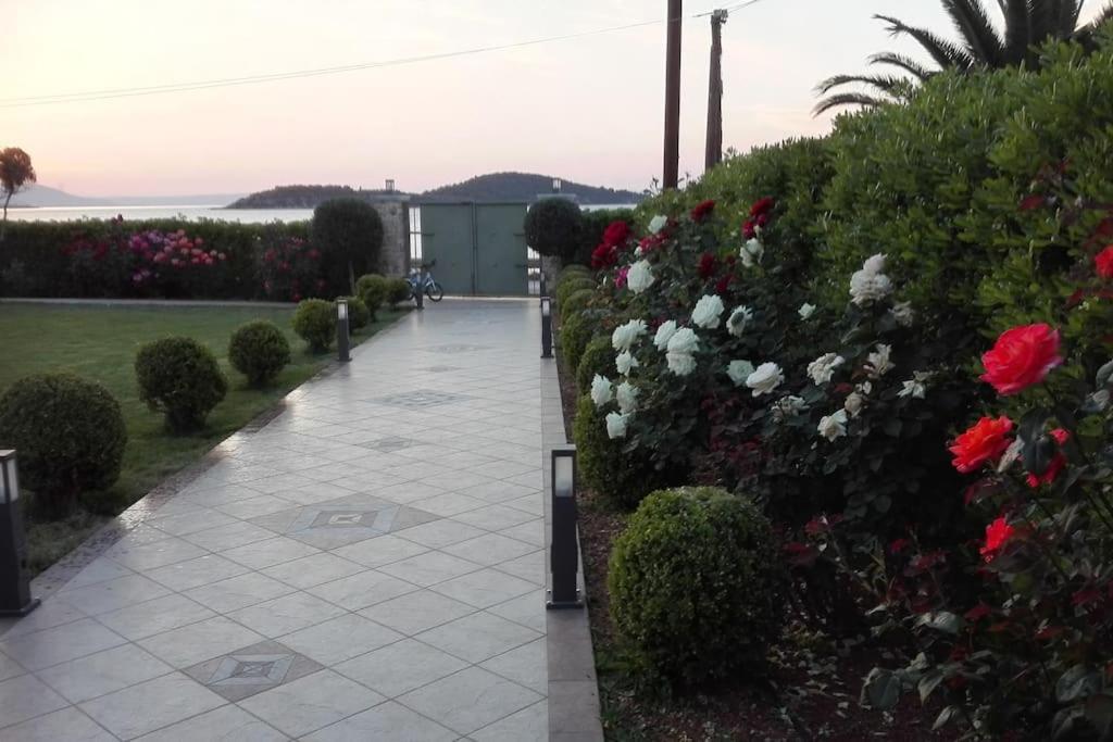 Ebony And Ivory Suites Δροσιά Εξωτερικό φωτογραφία